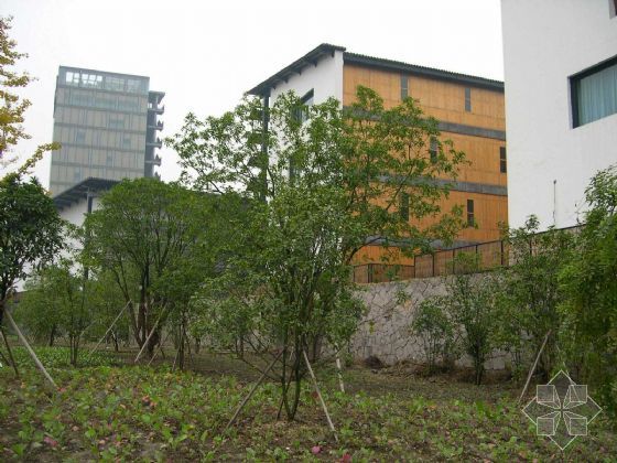 蕉城2017中国美术学院象山alc板材蒸压加气混凝土板材